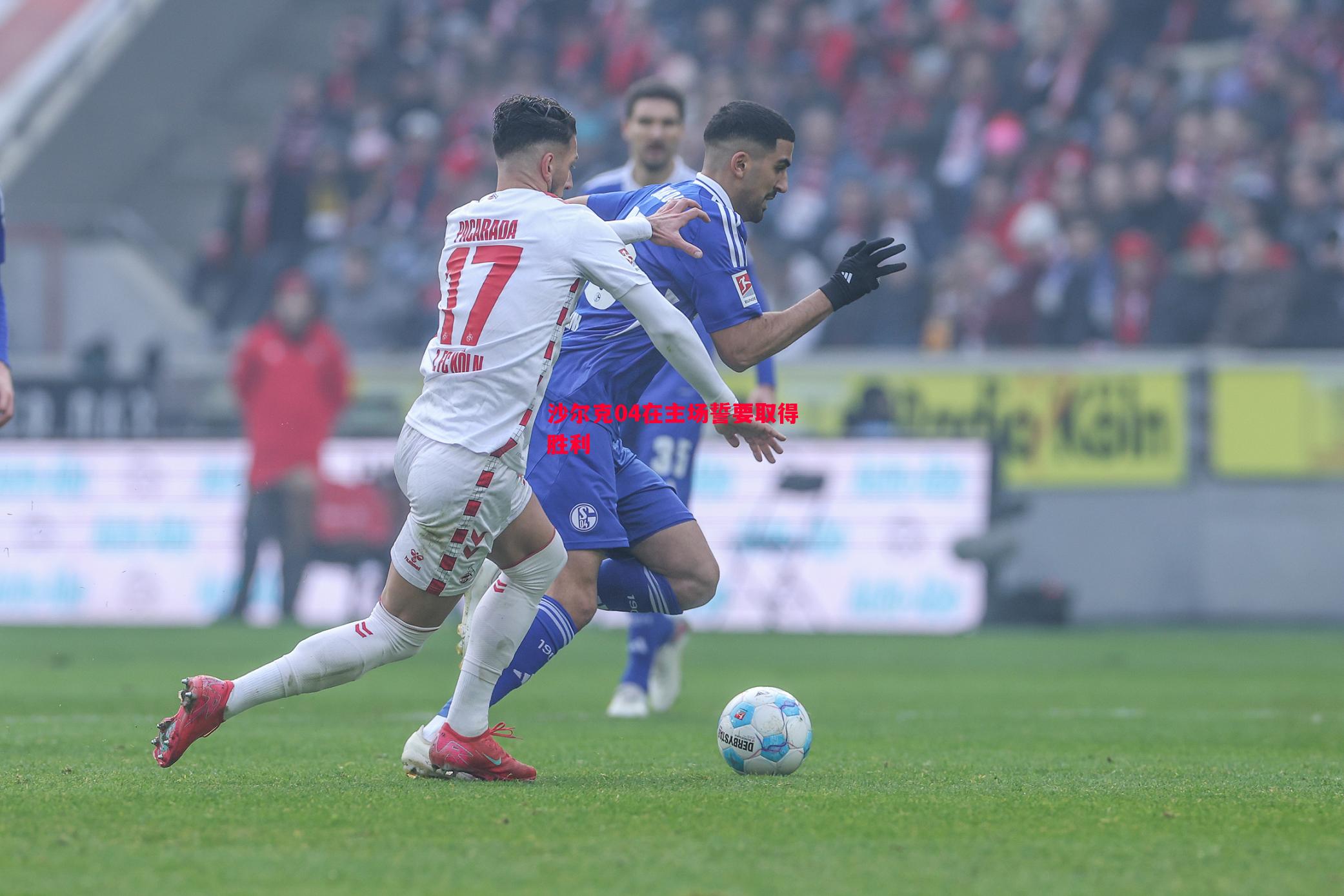 沙尔克04在主场誓要取得胜利 沙尔克04在主场誓要取得胜利