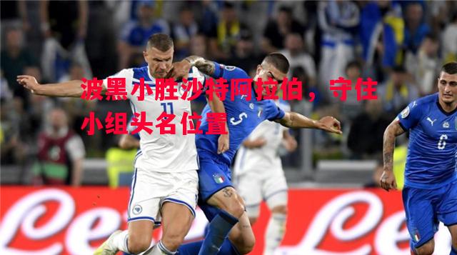 波黑小胜沙特阿拉伯，守住小组头名位置